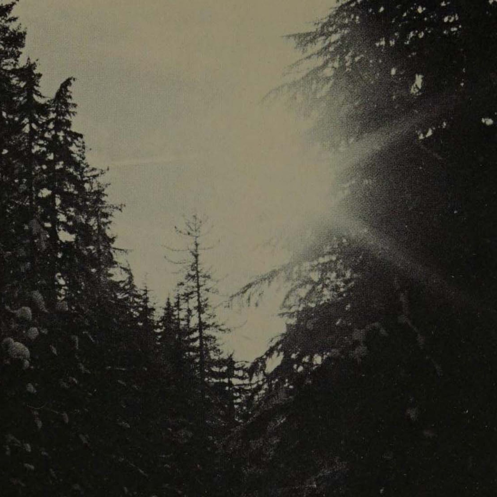 sun2