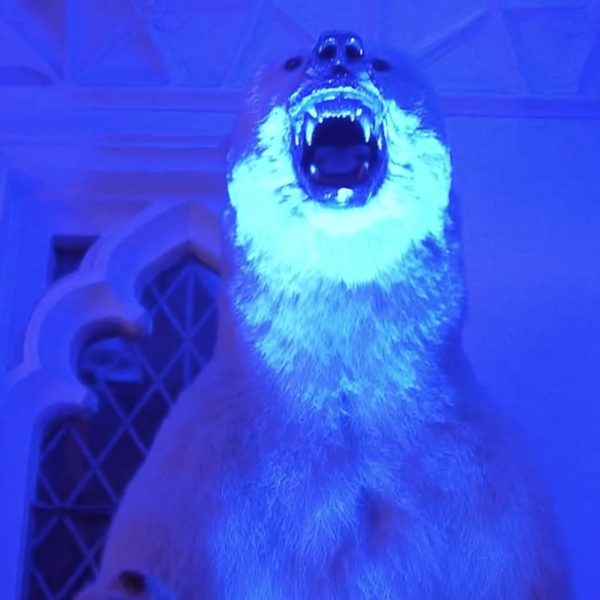yeti-dreamscape-vanish-3